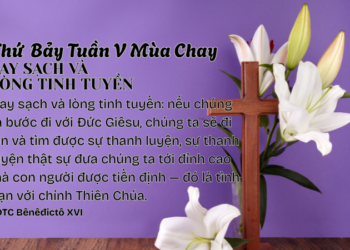 Thứ Bảy Tuần V Mùa Chay TAY SẠCH VÀ LÒNG TINH TUYỀN
