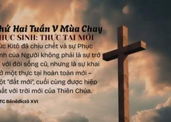 Thứ Hai Tuần V Mùa Chay PHỤC SINH: THỰC TẠI MỚI