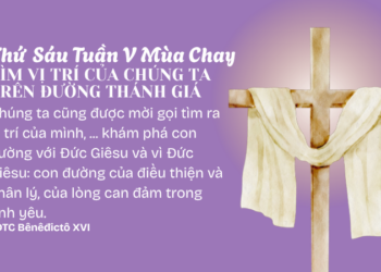 Thứ Sáu Tuần V Mùa Chay TÌM VỊ TRÍ CỦA CHÚNG TA TRÊN ĐƯỜNG THÁNH GIÁ