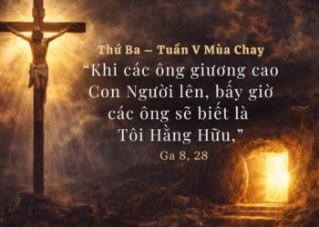 Thứ Ba 24.03.2026 Chỉ Khi Được Giương Cao Ta Mới Hiểu Đức Giêsu