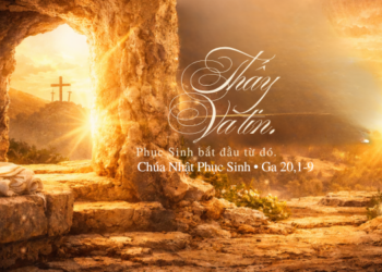 Chúa Nhật 5.4.2026 Thấy Và Tin