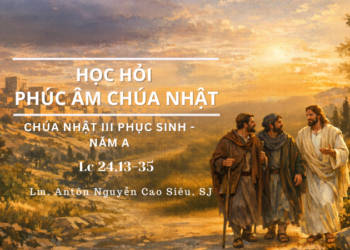 Học Hỏi Phúc Âm CHÚA NHẬT III PHỤC SINH (Năm A)