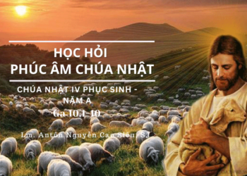 Học Hỏi Phúc Âm CHÚA NHẬT IV PHỤC SINH (Năm A)