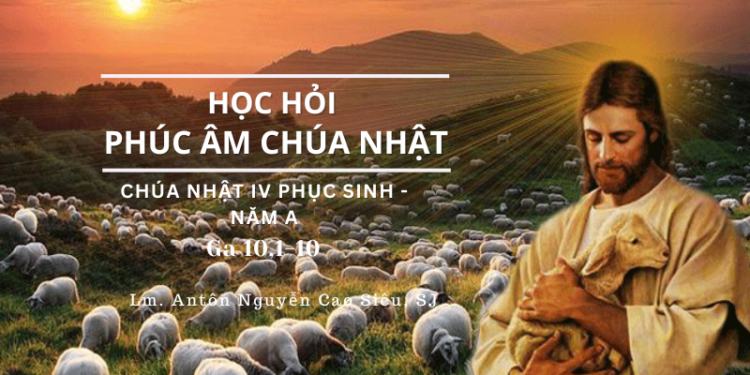 Học Hỏi Phúc Âm CHÚA NHẬT IV PHỤC SINH (Năm A)