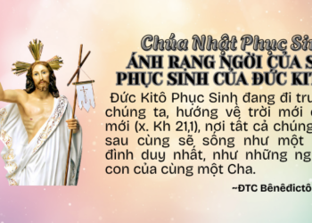 Chúa Nhật Phục Sinh – Chúa Sống Lại
