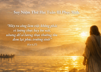 Thứ Hai 20.4.2026 Đi Tìm Chúa Và Nhận Được Nhiều Hơn Mong Đợi