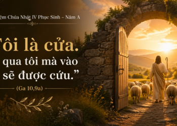 Chúa Nhât 26.4.2026 Đức Giêsu – Cửa Dẫn Vào Sự Sống Viên Mãn