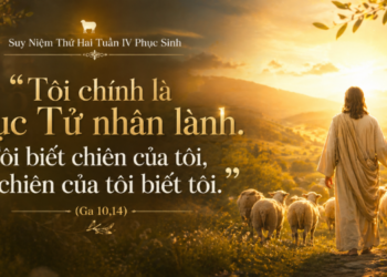 Thứ Hai 27.4.2026 Mục Tử Nhân Lành – Nguồn Bình An Và Trung Tín
