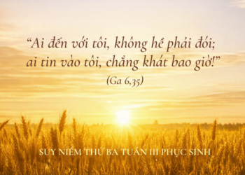 Thứ Ba 21.4.2026 Bánh Hằng Sống