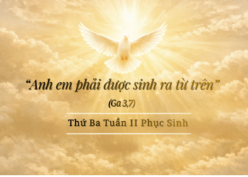Thứ Ba 14.4.2026 Sinh Ra Từ Trên – Mầu Nhiệm Làm Con Thiên Chúa