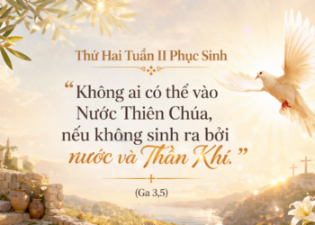 Thứ Hai 13.4.2026 Sinh Lại Bởi Ơn Trên