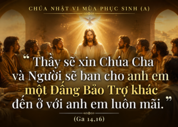 Chúa Nhật 10.5.2026 Khi Trái Tim Sẵn Sàng Đón Chúa