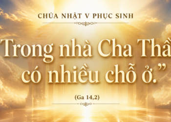 Chúa Nhật 3.5.2026 “Trong nhà Cha Thầy có nhiều chỗ ở”