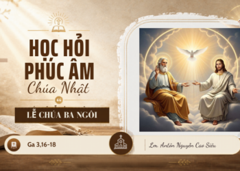 Học Hỏi Phúc Âm CHÚA NHẬT LỄ CHÚA BA NGÔI