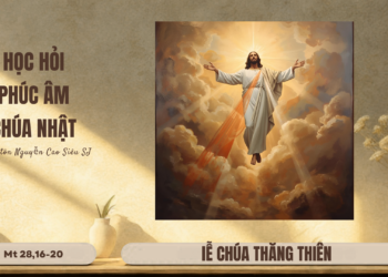 Học Hỏi Phúc Âm CHÚA NHẬT LỄ CHÚA THĂNG THIÊN NĂM A