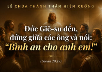 Chúa Nhật 24.5.2026 Thánh Thần Hiệp Nhất Muôn Dân Trong Tình Yêu Và Bình An