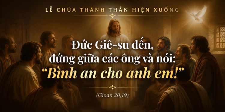 Chúa Nhật 24.5.2026 Thánh Thần Hiệp Nhất Muôn Dân Trong Tình Yêu Và Bình An