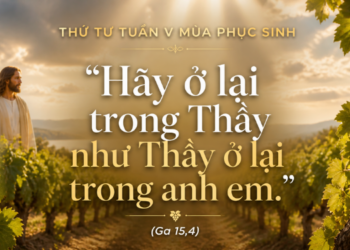 Thứ Tư 6.5.2026 Ở Lại Trong Tình Yêu Để Sinh Hoa Trái