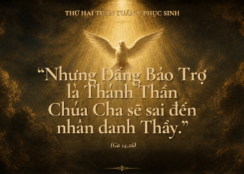 Thứ Hai 4.5.2026 Đừng biến con người thành ngẫu tượng