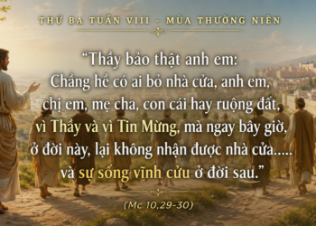 Thứ Ba 26.5.2026 Theo Chúa để nhận lại sự sống viên mãn