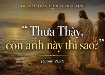 Thứ Bảy 23.5.2026 Mỗi Người Một Sứ Mạng Trong Công Trình Của Chúa