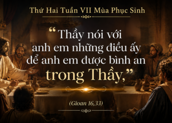 Thứ Hai 18.5.2026 Hoa Trái Chúa Thánh Thần Và Bình An Của Đức Kitô