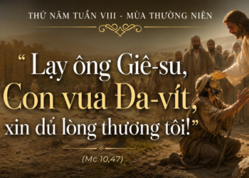 Thứ Năm 28.5.2026 Đức Giêsu Dừng Lại Trước Tiếng Kêu Của Con Người