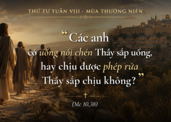 Thứ Tư 27.5.2026Sự Cao Trọng Đích Thực Là Phục Vụ Trong Yêu Thương
