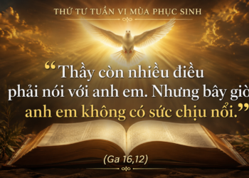 Thứ Tư 13.5.2026 Chúa Thánh Thần dẫn chúng ta vào chiều sâu của Lời Chúa