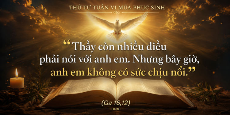 Thứ Tư 13.5.2026 Chúa Thánh Thần dẫn chúng ta vào chiều sâu của Lời Chúa