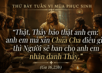 Thứ Bảy 16.5.2026 Cầu Xin Trong Tin Tưởng Để Đón Nhận Điều Chúa Muốn Ban