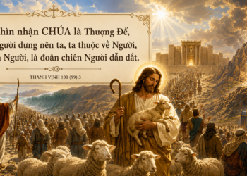 Thánh Vịnh Thứ Năm Tuần VIII Mùa Thường Niên