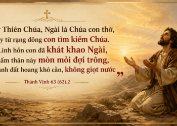 Thánh Vịnh Thứ Bảy Tuần VIII Mùa Thường Niên