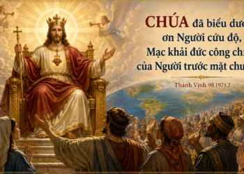 Thánh Vịnh Thứ Ba Tuần VIII – Mùa Thường Niên