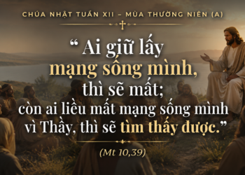 Chúa Nhật 28.06.2026 Yêu Chúa Trên Hết Mọi Sự Để Sống Yêu Thương Nhau 