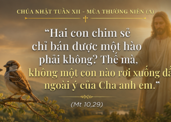 Chúa Nhật 21.06.2026 Đừng Sợ, Vì Anh Em Quý Giá Trước Mắt Thiên Chúa