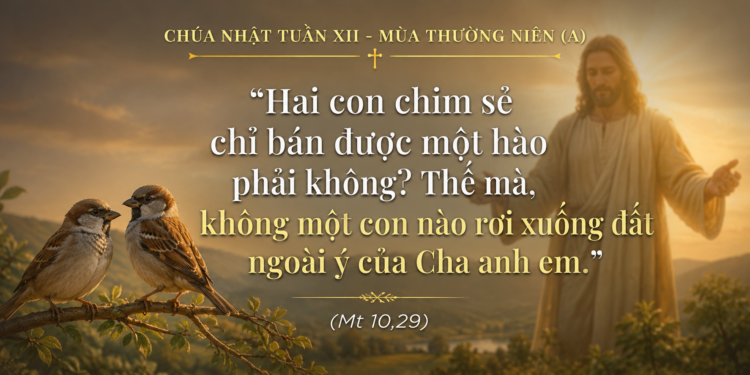 Chúa Nhật 21.06.2026 Đừng Sợ, Vì Anh Em Quý Giá Trước Mắt Thiên Chúa