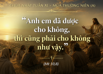 Chúa Nhật 14.06.2026 Được lãnh nhận nhưng không, hãy trao ban nhưng không