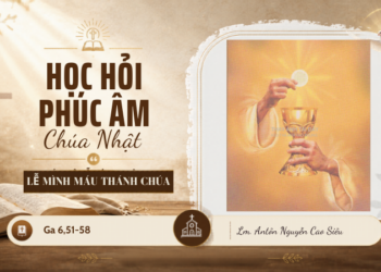 Học Hỏi Phúc Âm Chúa NhậtLỄ MÌNH MÁU THÁNH CHÚA KITÔ
