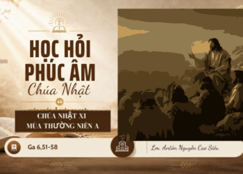 HỌC HỎI PHÚC ÂM CHÚA NHẬT XI THƯỜNG NIÊN NĂM A