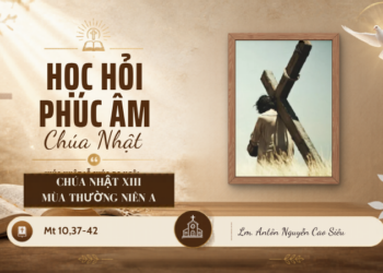 HỌC HỎI PHÚC ÂM CHÚA NHẬT XIII THƯỜNG NIÊN NĂM A