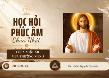HỌC HỎI PHÚC ÂM CHÚA NHẬT XII THƯỜNG NIÊN NĂM A