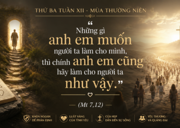 Thứ Ba 23.06.2026 Luật Vàng