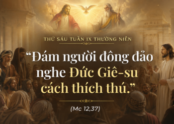 Thứ Sáu 05.06.2026 Đọc Kinh Thánh Trong Ánh Sáng Đức Kitô và Chúa Thánh Thần