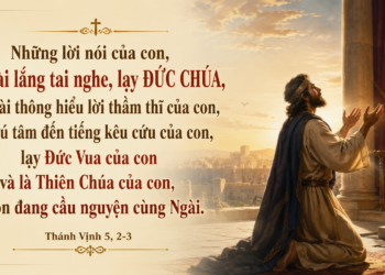 Thánh Vịnh Thứ Hai Tuần XI Mùa Thường Niên