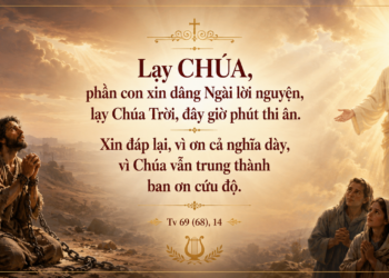 Thánh Vịnh Chúa Nhật Tuần XII Mùa Thường Niên