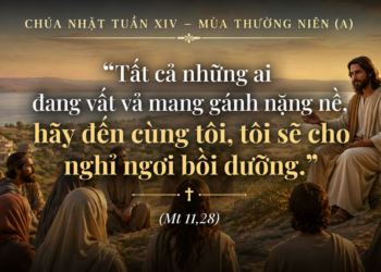 Chúa Nhật 05.07.2026 Đến với Đức Kitô để tìm lại bình an và sức mạnh
