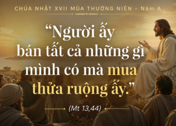Chúa Nhật 26.07.2026 Đức Giêsu – Kho Báu Cao Quý Nhất