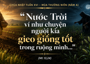 Chúa Nhật 19.07.2026 Ánh Mắt Hy Vọng Của Thiên Chúa