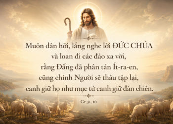 Thánh Vịnh Đáp Ca Thứ Sáu Tuần XVI Mùa Thường Niên